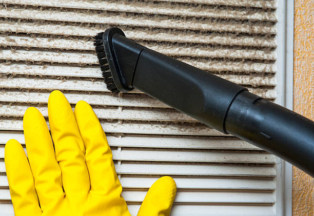 Best Air Vent Cleaning Services  in Douglas, AL